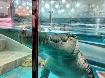 NIFREL（ニフレル）に投稿された画像（2024/8/13）