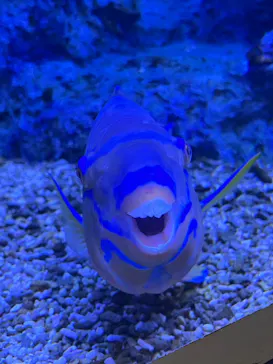 すみだ水族館に投稿された画像（2024/8/13）