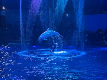 マクセル アクアパーク品川に投稿された画像（2024/8/13）