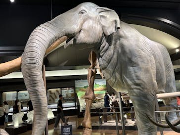 滋賀県立琵琶湖博物館に投稿された画像（2024/8/13）