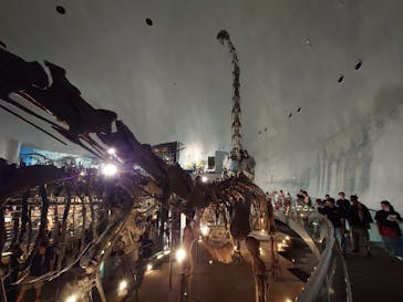 福井県立恐竜博物館に投稿された画像（2024/8/13）