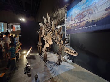 福井県立恐竜博物館に投稿された画像（2024/8/13）