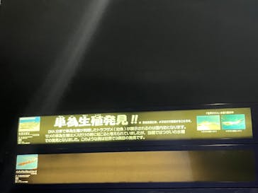 アクアワールド茨城県大洗水族館に投稿された画像（2024/8/13）