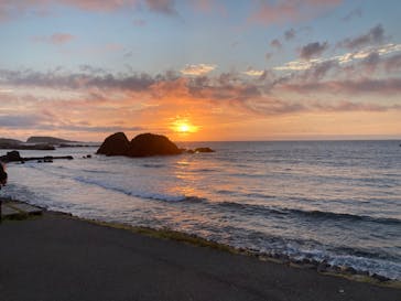 越前松島水族館に投稿された画像（2024/8/13）