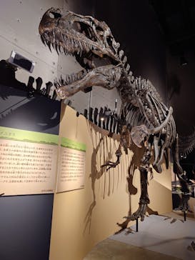 福井県立恐竜博物館に投稿された画像（2024/8/13）