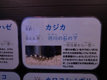 竹島水族館に投稿された画像（2024/8/13）