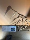 巨大恐竜展2024に投稿された画像（2024/8/13）