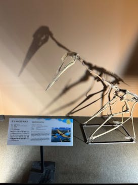 巨大恐竜展2024に投稿された画像（2024/8/13）
