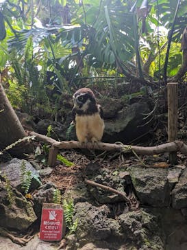 伊豆シャボテン動物公園に投稿された画像（2024/8/13）