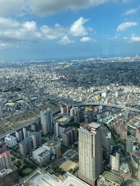 ハルカス300(展望台)に投稿された画像（2024/8/13）