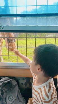 那須サファリパークに投稿された画像（2024/8/13）