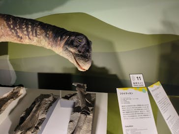 巨大恐竜展2024に投稿された画像（2024/8/13）