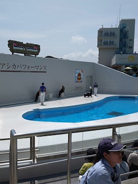 鴨川シーワールドに投稿された画像（2024/8/13）