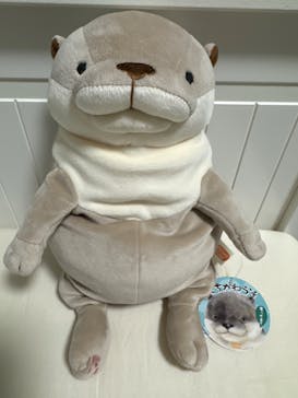 サンシャイン水族館に投稿された画像（2024/8/13）