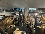 福井県立恐竜博物館に投稿された画像（2024/8/14）
