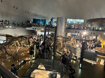 福井県立恐竜博物館に投稿された画像（2024/8/13）