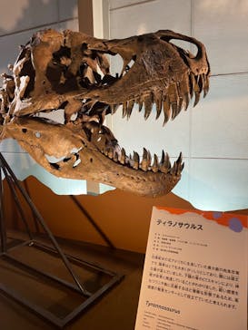 巨大恐竜展2024に投稿された画像（2024/8/13）