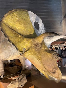 巨大恐竜展2024に投稿された画像（2024/8/13）