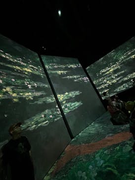 モネ＆フレンズ・アライブに投稿された画像（2024/8/13）