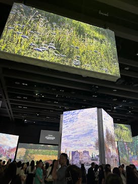 モネ＆フレンズ・アライブに投稿された画像（2024/8/13）