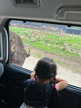 那須サファリパークに投稿された画像（2024/8/13）