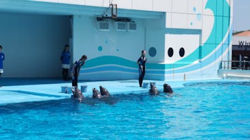 南知多ビーチランド＆南知多おもちゃ王国に投稿された画像（2024/8/13）