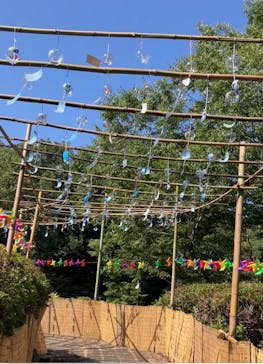 岐阜県博物館に投稿された画像（2024/8/13）