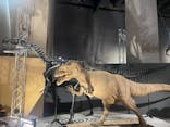 福井県立恐竜博物館に投稿された画像（2024/8/14）