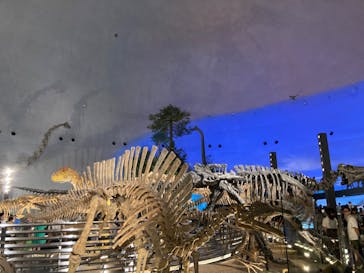 福井県立恐竜博物館に投稿された画像（2024/8/13）
