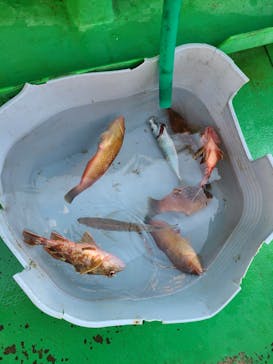 淡路島観光ホテルに投稿された画像（2024/8/13）