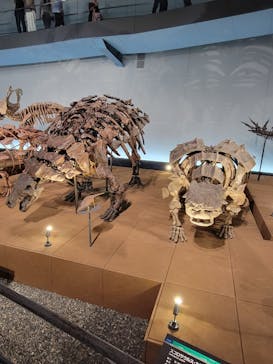 福井県立恐竜博物館に投稿された画像（2024/8/13）