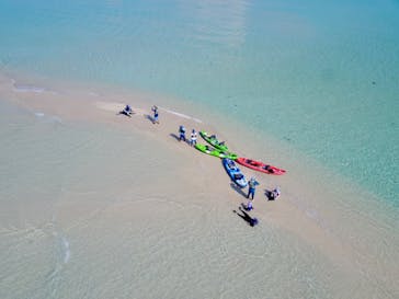 ACTIVITY MIYKOJIMA DOSUに投稿された画像（2024/8/13）