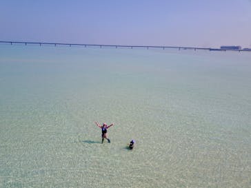 ACTIVITY MIYKOJIMA DOSUに投稿された画像（2024/8/13）