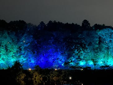 ムーミンバレーパークに投稿された画像（2024/8/13）