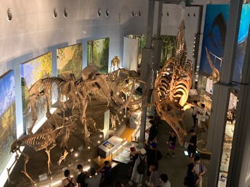 福井県立恐竜博物館に投稿された画像（2024/8/13）