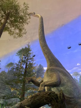 福井県立恐竜博物館に投稿された画像（2024/8/13）