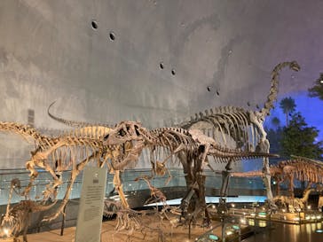 福井県立恐竜博物館に投稿された画像（2024/8/13）