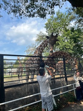 宇都宮動物園に投稿された画像（2024/8/13）