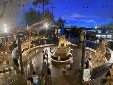 福井県立恐竜博物館に投稿された画像（2024/8/13）