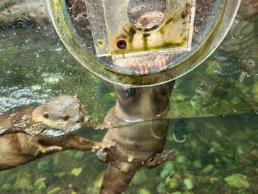 那須どうぶつ王国に投稿された画像（2024/8/13）