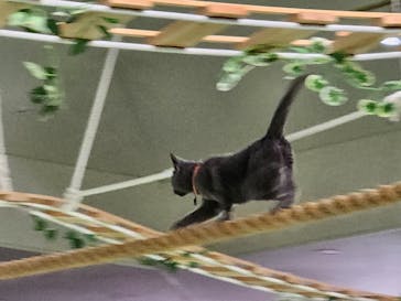 那須どうぶつ王国に投稿された画像（2024/8/13）