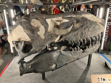 福井県立恐竜博物館に投稿された画像（2024/8/13）