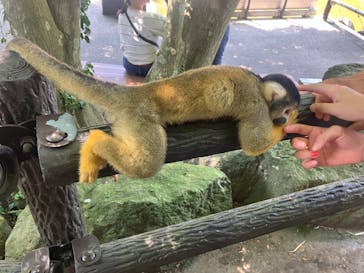 伊豆シャボテン動物公園に投稿された画像（2024/8/13）
