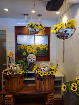 志摩スペイン村パルケエスパーニャに投稿された画像（2024/8/13）