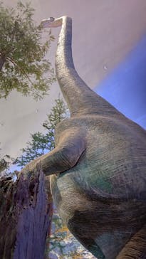 福井県立恐竜博物館に投稿された画像（2024/8/13）