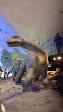 福井県立恐竜博物館に投稿された画像（2024/8/13）