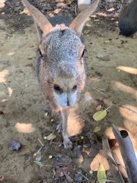 横浜・八景島シーパラダイスに投稿された画像（2024/8/14）
