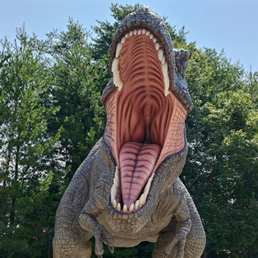 福井県立恐竜博物館に投稿された画像（2024/8/14）