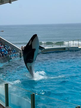 鴨川シーワールドに投稿された画像（2024/8/14）