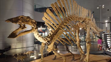 福井県立恐竜博物館に投稿された画像（2024/8/14）